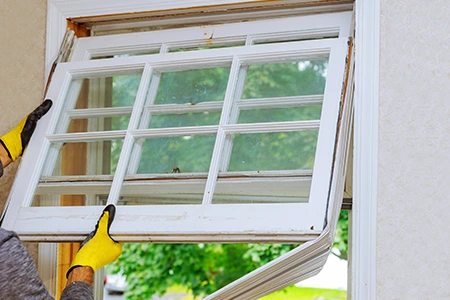 Window Replacement in Golden Glades